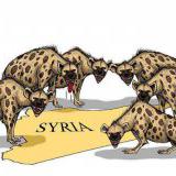 ��� ������� ����� ��� ����������� �����