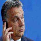 ����� ��������� ������������� ������