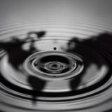 ������� ������ �������� ��������� ��������� ���