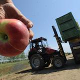 ���������� ��������� ��������� ������� �������� ���������� �������