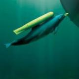 ������� �������� ������ ������ ������ ����������?