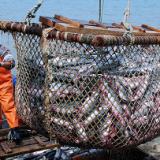 ���������� ������������� ������ ������� ����������� ������� ��