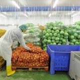 �� ��������� ���� ������ � ������� �� �������