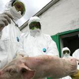 � ����������� ���� ��������� ����� ���