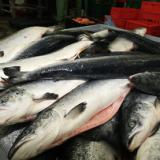 �� ��������� ������ �� ��