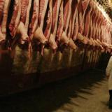 ���������� �� ������� �� ��������� ���� �� ����������