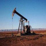 �����: ������� ���� ���� ������� ��� ���� ���������