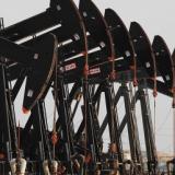 ���� �������� ������ �����