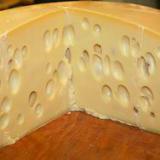 ������ ����� �������� ������ ����� �����