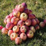 ������ �������� �������� �����