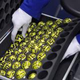 ���� ��������