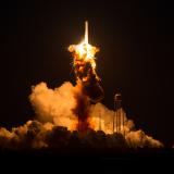   Antares       