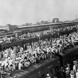 ����-������������ �����