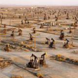 ������������ ��������� �����  �����?