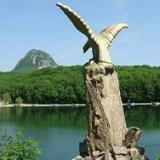 ������������� ������ ���������