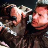 ����������� � �������: � ������ ������� ������������� ���������� ������