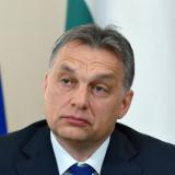 ������������ ����������� � ������� ����������� �� ������� ������