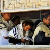 � ������� ���������������� 50 ���������� ������ �����