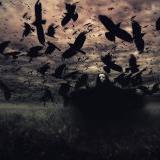 ������� �������