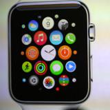      Apple Watch Edition   