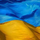 ���� ������ �����