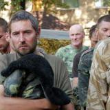 ������ ��������� �������� � �������� � 80% ���������� �������-���������� ���