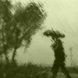 �����: ������ ���� ������������