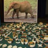 ����� �������� ���������� ����������� �������� �����