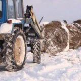 ����� ��� ������