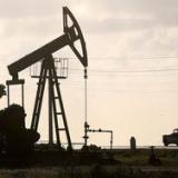 ���� �� ����� ������ �� ���������� �������� � �����