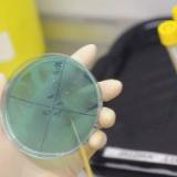 ����� ������� ��������� � ������ ���������