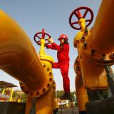 ��������� ������ � ����� ������� ��������� 95 ��������� ���-��������