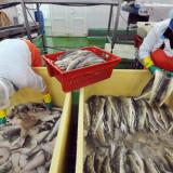 ��������� ��� �������� ��� �� ������ ������� �� ���� ����