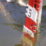   250     