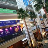 AFM � ���� �� ���������� � ������