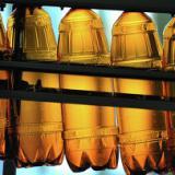 �������� � ����������� ���� ����� � ��������� �� 2016 ����