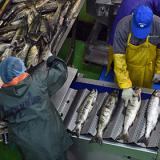 �������������� ������������ � ��� �� ���