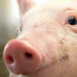 ��� � ���������� ����� ��������� ������ ������� ��