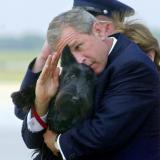 ������������ ��� � ������� �������� ���������� �����