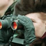 ���-��������� ������ ��������, ��� ������ ����� �� ��������� ���������� ������� � ...