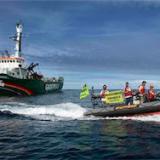 ���������� � Arctic Sunrise ��������� ��������� �������