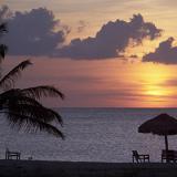 ����� ������� �� ���������� ������� ���� � ��� ����