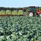 ����� �������� �������� �������� ��� ������� ��������