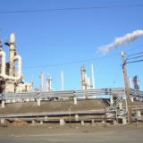 ��������� ��� ��������� ������� ���� �� ����� �� 50 �������� �� �������