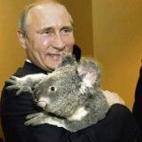 ��� ������� ����������, ����� �������