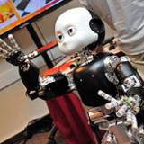      iCub ()
