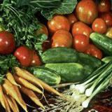 ���� ������: ������ � ������� �����