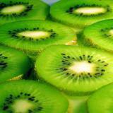 � ����������� ��������� ����������� ����