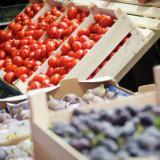 � ������ �������� ���������� ������