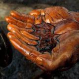 ����� ����� ����� ������� ����������